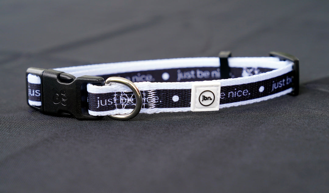 Eco-Friendly Dog Collars